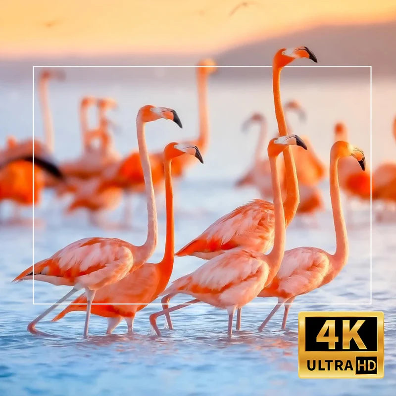 Projetor Portátil HY320 Pro 4K - Promoção de Setembro